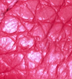 Evelyne Bag Gen III Clemence PM