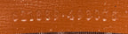 Horsebit 1955 Zip Around Wallet GG Coated Canvas Long