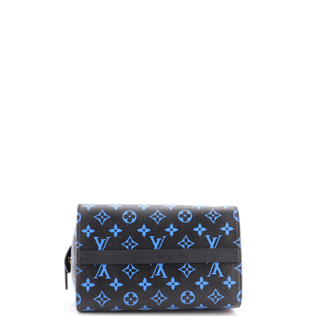 Speedy Amazon Bag Monogram Canvas PM