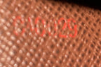 Sarah Wallet Damier
