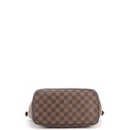 Saleya Handbag Damier MM