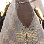 Saleya Handbag Damier MM
