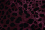 Dolce & Gabbana, leopard printed scarf in purple