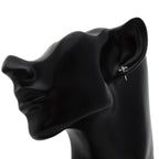 Earrings Platinum